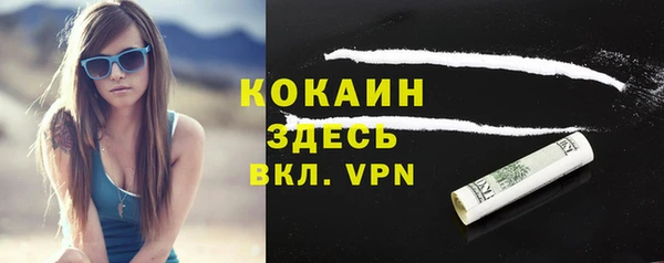 сатива Новоульяновск