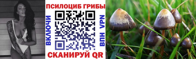 Псилоцибиновые грибы прущие грибы  Шахунья 