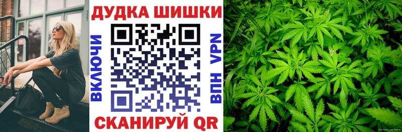 hydra ссылки  Шахунья  Шишки марихуана Amnesia 